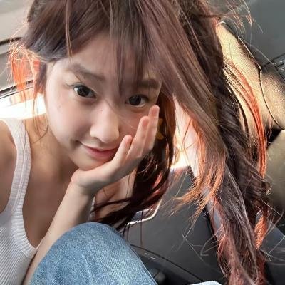 羊与钢的森林